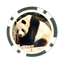 Giant Panda National Zoo Poker Chip Card Guard (10 Pack)