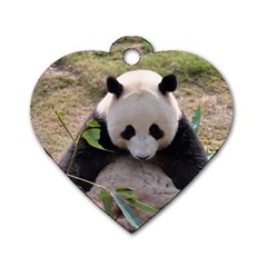 Big Panda Dog Tag Heart (two Sides)