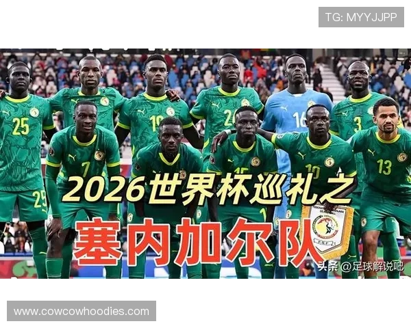 世界杯法国对阵塞内加尔比赛全场观看指南与精彩亮点解析
